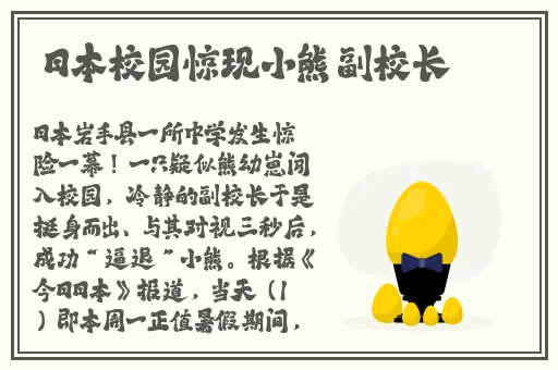 老师的扇贝真好吃